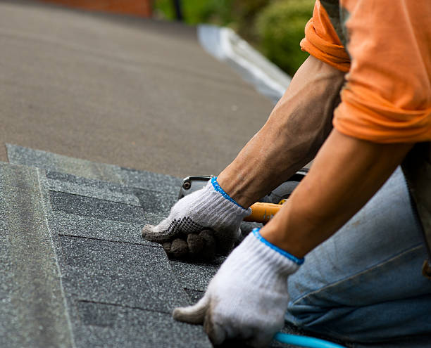 Roof Gutter Cleaning in Minneapolis, MN